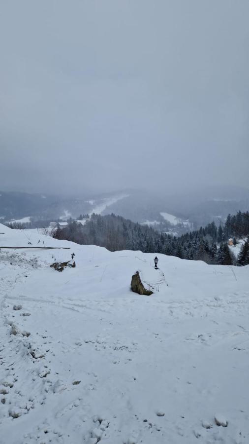 Rezydencja Nad Potoczkiem Aparthotel Wisla Exterior photo